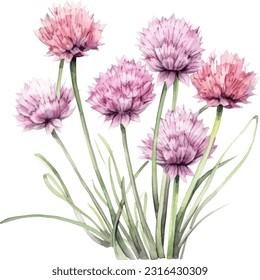 Chives watercolor illustration. Hand drawn underwater element design. Artistic vector marine design element. Illustration for greeting cards, printing and other design projects. svg