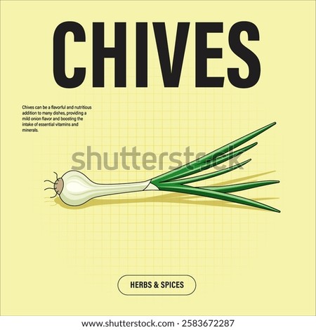 Chives (White Onion) Premium Vector Clipart High-Quality Illustration for Cooking Branding and Packaging