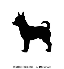 Diseño de ilustración plana de Vector de icono de silueta de Chiwawa.