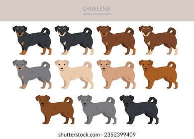 Chiweenie clipart. Chihuahua Dachshund mix. Different coat colors set.  Vector illustration