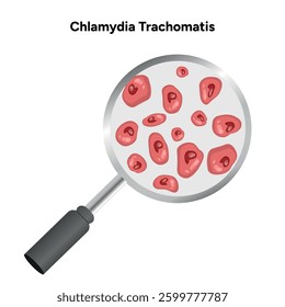 Chlamydia Trachomatis. Woman’s and man's reproductive system infections. Medical disease 