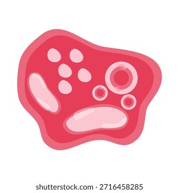 Ilustração Vetorial de Chlamydia Trachomatis. Ilustração vetorial representando células imunológicas humanas, incluindo macrófagos e mastócitos, mostrando a biologia do sistema imunológico e tipos de monócitos na imunologia