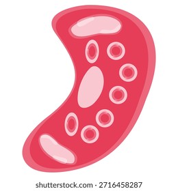 Ilustração Vetorial de Chlamydia Trachomatis. Ilustração vetorial representando células imunológicas humanas, incluindo macrófagos e mastócitos, mostrando a biologia do sistema imunológico e tipos de monócitos na imunologia