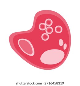 Ilustração Vetorial de Chlamydia Trachomatis. Ilustração vetorial representando células imunológicas humanas, incluindo macrófagos e mastócitos, mostrando a biologia do sistema imunológico e tipos de monócitos na imunologia