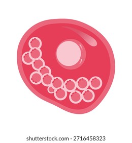 Ilustração Vetorial de Chlamydia Trachomatis. Ilustração vetorial representando células imunológicas humanas, incluindo macrófagos e mastócitos, mostrando a biologia do sistema imunológico e tipos de monócitos na imunologia