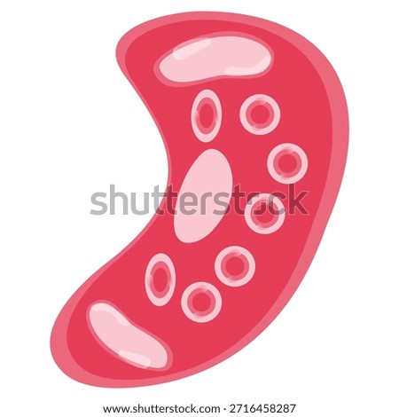 Chlamydia Trachomatis Vector Illustration. Vector illustration depicting human immune cells, including macrophages and mast cells, showcasing the biology of the immune system and monocyte types in immunology