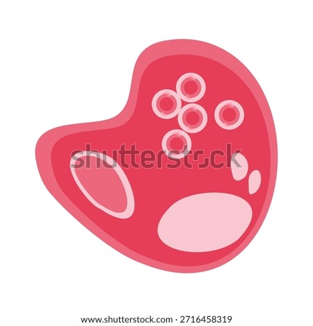 Chlamydia Trachomatis Vector Illustration. Vector illustration depicting human immune cells, including macrophages and mast cells, showcasing the biology of the immune system and monocyte types in immunology