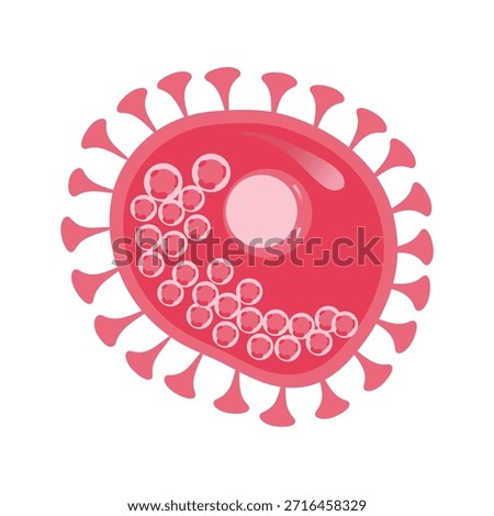 Chlamydia Trachomatis Vector Illustration. Vector illustration depicting human immune cells, including macrophages and mast cells, showcasing the biology of the immune system and monocyte types in immunology