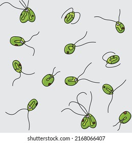 Chlamydomonas sp. fue el primero desarrollado como un organismo modelo para dilucidar procesos celulares fundamentales como fotosíntesis, percepción de la luz y la estructura, función y biogénesis de la cilia.