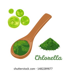 Chlorella green algae. Chlorella superfood powder in wooden spoon Isolated on white background. Vector illustration of dietary seaweed supplementation in cartoon flat simple style.