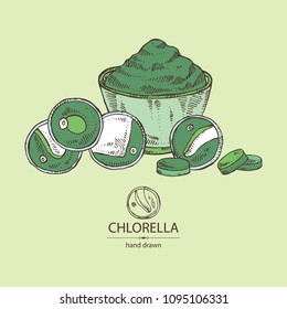 Chlorella: chlorella seaweed, powder and  tablet. Unicellular green algae. Edible seaweed. Vector hand drawn illustration.