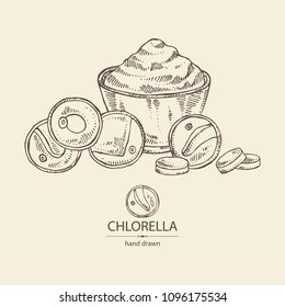 Chlorella: chlorella seaweed, powder and  tablet. Unicellular green algae. Edible seaweed. Vector hand drawn illustration.