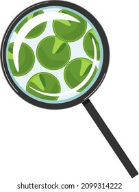 Chlorella (single-celled green algae) under magnifying glass isolated on white background