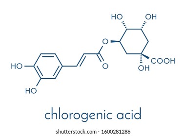 Chlorogenic acid herbal molecule. Skeletal formula.