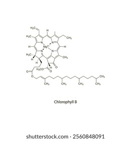 Chlorophyll A flat skeletal molecular structure Colouring agent treatment. Vector illustration scientific diagram.