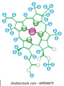 Chlorophyll formula II