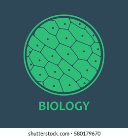 Chlorophyll. Plant Cells under the Microscope.