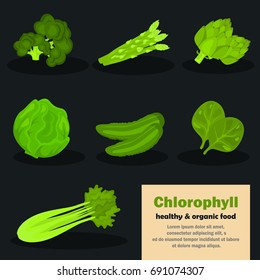 Chlorophyll vegetables color icons set for web and mobile design