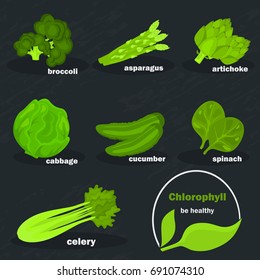 Chlorophyll vegetables color icons set for web and mobile design