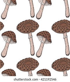 chlorophyllum rhacodes pattern