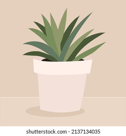 Chlorophytum house plant in white pot, vector icon on beige background