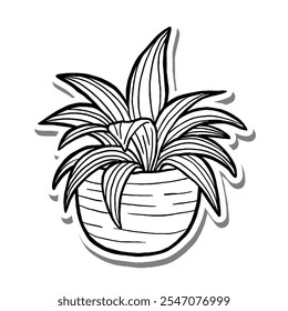 Chlorophytum Houseplant Outline on white silhouette and gray shadow. Hand drawn cartoon style. Vector illustration for decorate, coloring and any design.