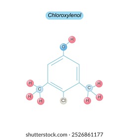 Cloroxilenol é um antisséptico e desinfetante comumente usado em produtos de limpeza doméstica, sabonetes e produtos de tratamento de feridas para matar bactérias, fungos e alguns vírus.