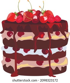 Chocolate berry cake. Vector illustration