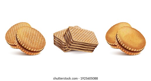 Chocolate biscuit cookies in the middle isolated on solid color background. Vector realistic in 3d illustration.