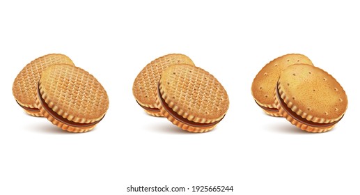 Chocolate biscuit cookies in the middle isolated on solid color background. Vector realistic in 3d illustration.