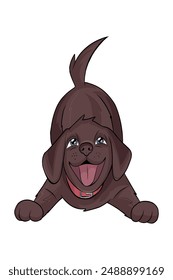 A chocolate brown Labrador Retriever puppy in a red collar looks with a happy expression on its face. He sticks out his tongue and wags his tail.