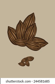 Chocolate and Cacao Fruit. Vector Illustration