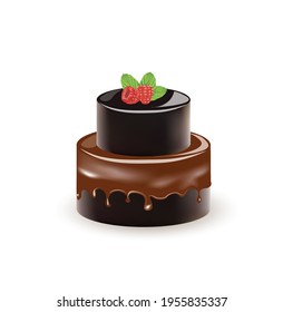 Chocolate cake with raspberry. vector illustration