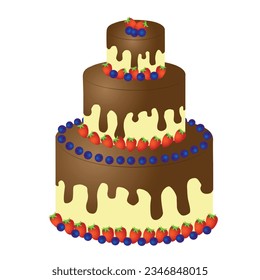 chocolate cake with a strawberries and blueberries