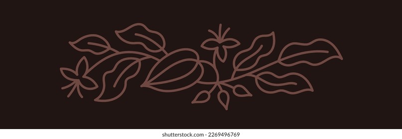 Elemento de diseño de caja de dulces de chocolate. Grano de cacao. Semillas y ramas. Curso de contorno modificable. Línea de vectores.
