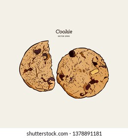 Chocolate Chip Cookie, Hand Draw Sketch Vector.
