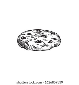 Chocolate Chip Cookie. Hand Drawn Sketch Style. Fresh Baked. American Biscuit. Vector Illustration Isolated On White Background.