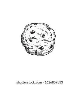 Chocolate Chip Cookie. Top View. Hand Drawn Sketch Style. Fresh Baked. American Biscuit. Vector Illustration Isolated On White Background.