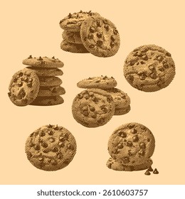 Chocolate chip cookie vector, Chocolate chip cookie illustration, line drawing on cream background.
