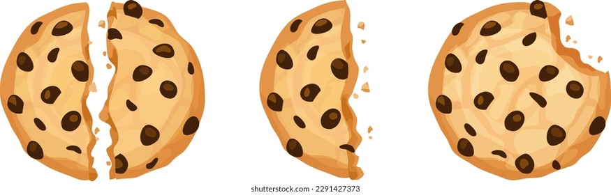 Chocolate chip cookies with a bite taken out and split in halves. Isolated vector illustrations.