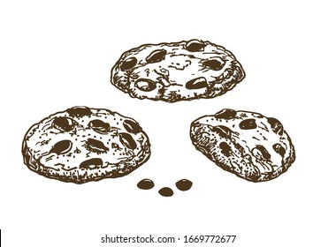 Chocolate Chip Cookies. Sketch ink graphic cookies set illustration, black on white line art. Hand Drawn sketch of american cookies with chocolate pieces. Oatmeal sweet dessert. Vintage cookies.