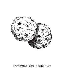 Chocolate chip cookies. Top view. Hand drawn sketch style. Fresh baked. American biscuit. Vector illustration isolated on white background.