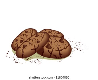 Chocolate Chip Cookies - Vector