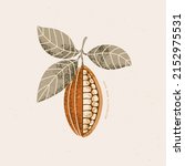 Chocolate cocoa bean botanical illustration. Colored vintage textured cacao fruit with leaves.