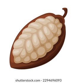 Chocolate cocoa bean. Chocolate dessert, sweets, drinks and pastry food ingredient cartoon vector illustration