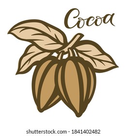 Chocolate cocoa bean icon on a white background. Vector illustration.
