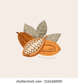 Chocolate cocoa bean vintage botanical illustration. Colored textured cacao fruit with leaves. Vector illustration.