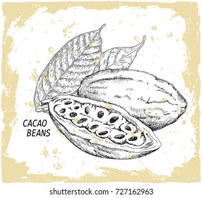 Chocolate cocoa beans