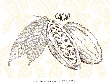 Chocolate cocoa beans