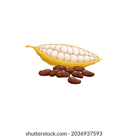 Chocolate cocoa beans isolated superfood. Vector black coffee beans, healthy organic food products. Cacao bean pod in stage of riping, dried and fermented seed of Theobroma cacao realistic design